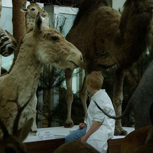 Animus Animalis Still 